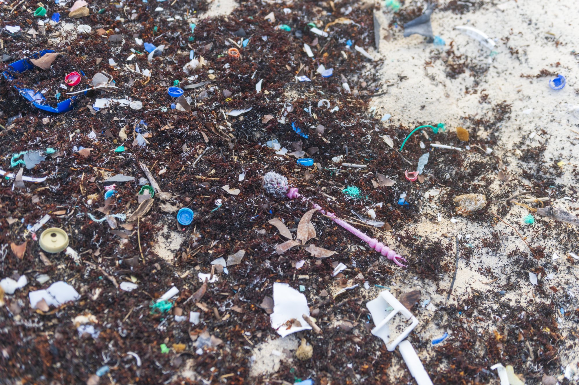 Les plages de l'Atlantique recouvertes de billes en plastique