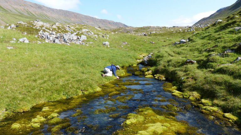 Scientist near a stream in the Vatnsdalur valley in the fjords of eastern Iceland