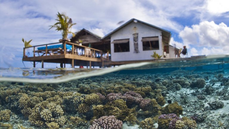 Récifs coralliens dans le lagon de Tetamanu, atoll de Fakarava, archipel des Tuamotu, Polynésie française