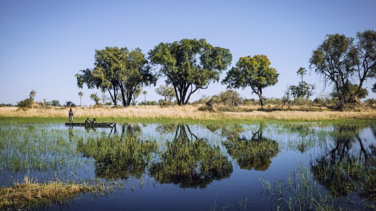 Des pirogues en bois sont utilisées pour se déplacer sur les eaux de l’Okavango, fleuve qui s’arrête au milieu du désert du Kalahari.