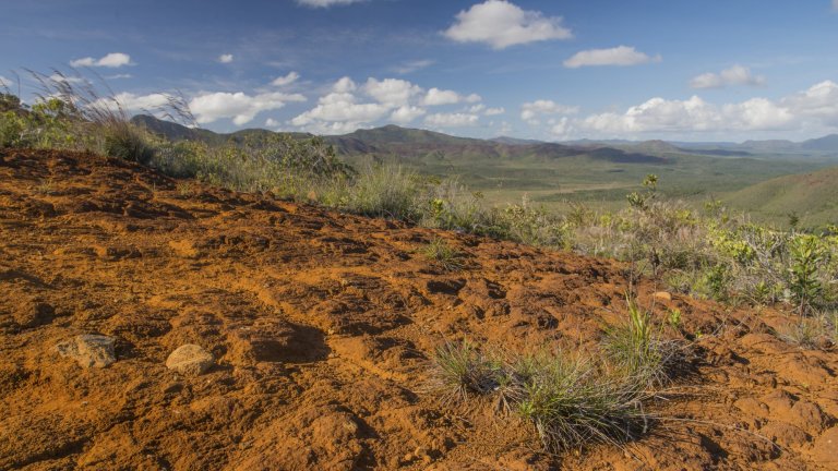 Paysage du sud de la Grande Terre, en Nouvelle-Calédonie, zone peu affectée par l’activité minière et sa pollution. Des lichens sont collectés comme échantillons de référence pour mettre en évidence le niveau de pollution du reste du territoire. 