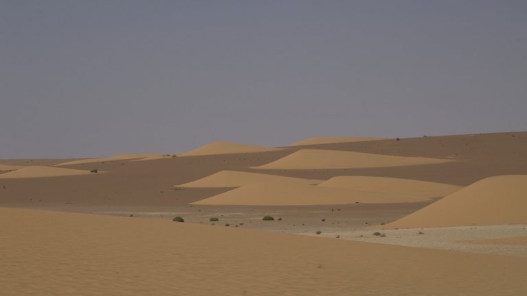 Paysage désertique de Mauritanie, parc national du Banc d’Arguin.