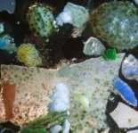 Échantillon de microplastiques collecté lors de l’expédition Tara Méditerranée