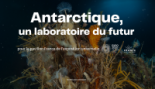 site CNRS 