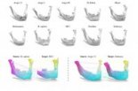 "Geometric analysis of shape variability of lower jaws of prehistoric humans", Ren J., Wonka P., Harihara G. and Ovsjanikov M., L’Anthropologie, Elsevier, 2020, 124 (5)