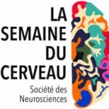 © Société des neurosciences