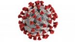 coronavirus ©Alissa Eckert, MSMI, Dan Higgins, MAMS / CDC 