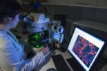 Observation de cellules neurales de souris au microscope à fluorescence © Cyril FRESILLON/CNRS Photothèque