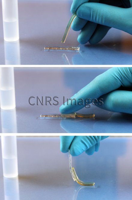 Utilisation d'une solution aqueuse nanoparticules de silice pour coller deux morceaux de gel | CNRS Images