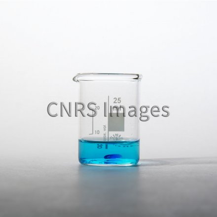 Cristallisation de sulfate de cuivre par évaporation lente en solution  aqueuse